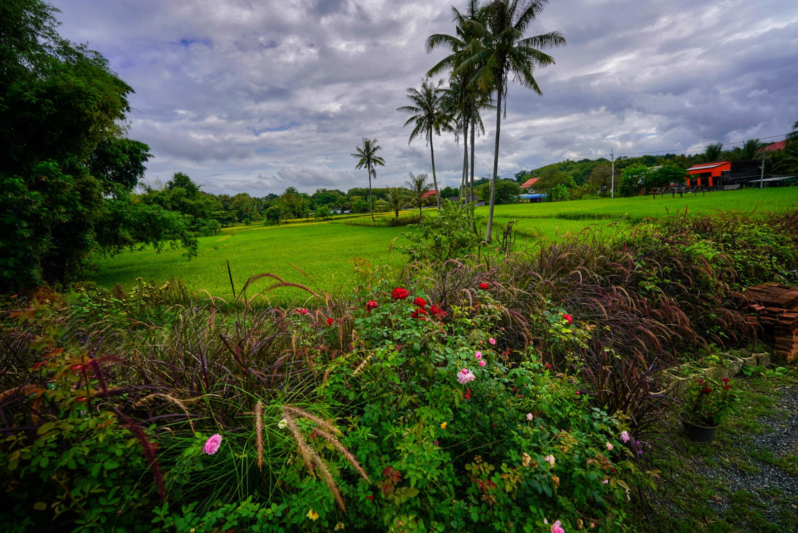 Where's the best Asian Country to retire